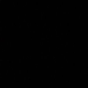 Meet your Posher, Julian